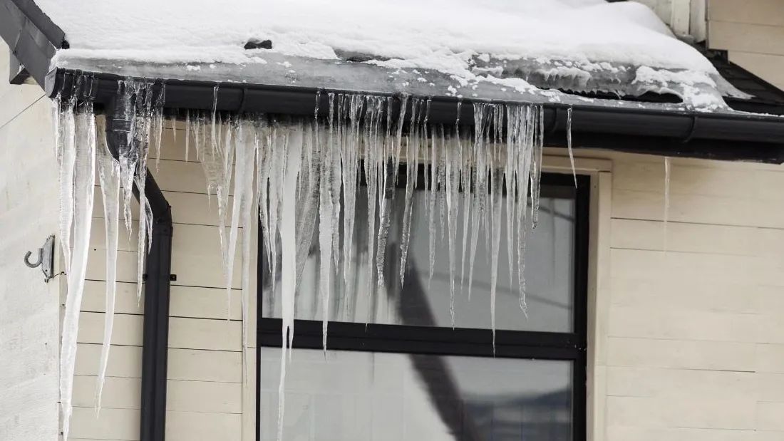 Long icicles hanging from a black gutter in front of a dark-framed window, with snow on the roof edge above and cream siding behind.