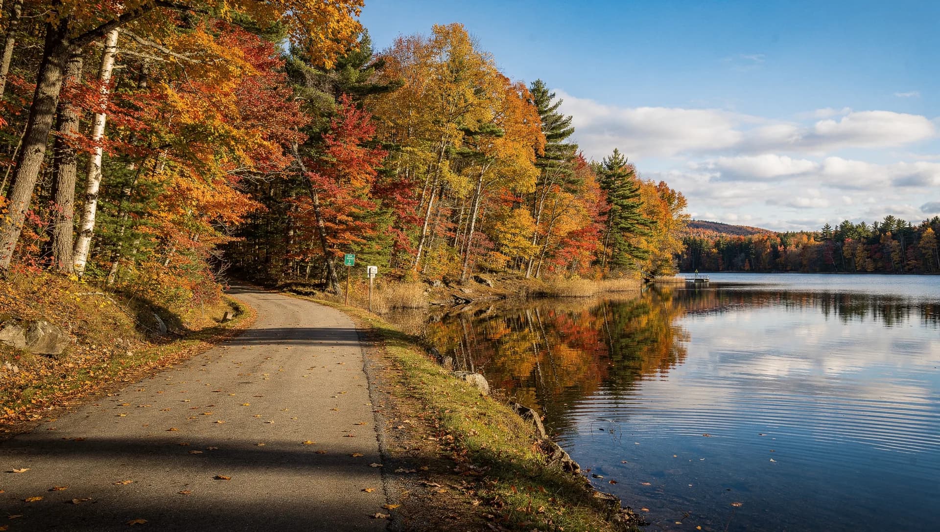 A wooded shoreline and calm water at Lake Massabesic in Auburn, New Hampshire.
